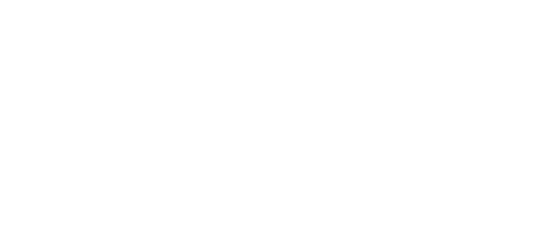 Tulip Image